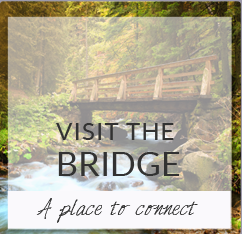 Visit the Bridge